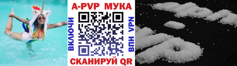 A-PVP СК  Цоци-Юрт 