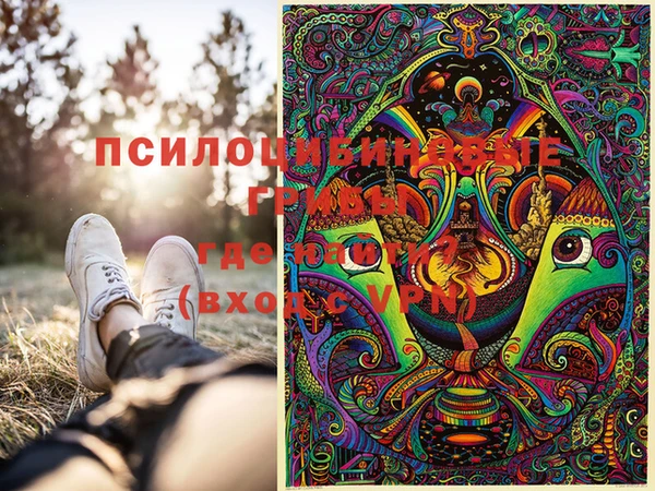 индика Абдулино