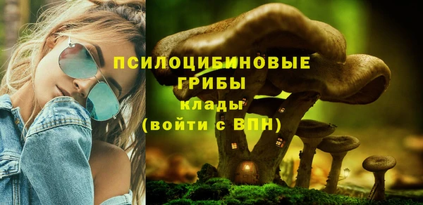 индика Абдулино