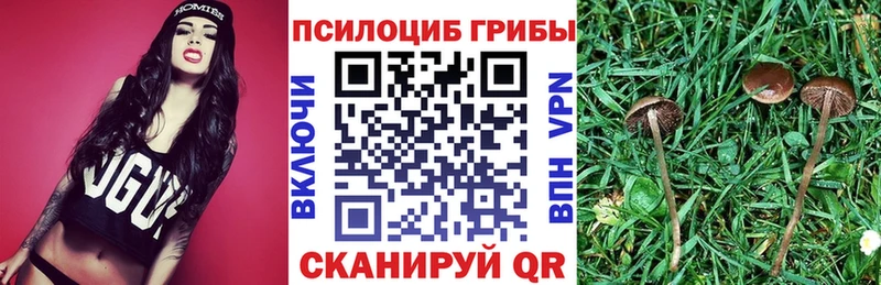 блэк спрут рабочий сайт Цоци-Юрт Галлюциногенные грибы MAGIC MUSHROOMS